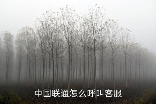 中國聯通怎么呼叫客服