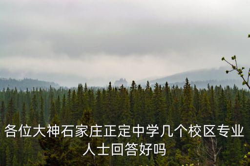 各位大神石家莊正定中學幾個校區專業人士回答好嗎