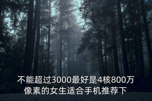 不能超過3000最好是4核800萬像素的女生適合手機推薦下