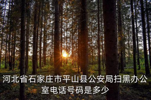 平山縣公安局，惠東縣平山有幾個派出所