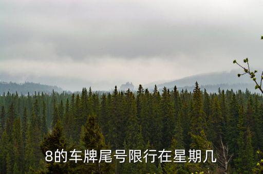 8的車牌尾號限行在星期幾