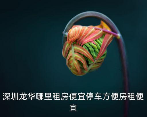 深圳龍華哪里租房便宜停車方便房租便宜
