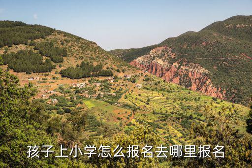 孩子上小學怎么報名去哪里報名