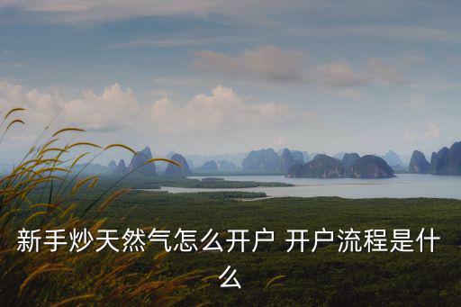 新手炒天然氣怎么開戶 開戶流程是什么