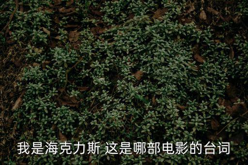 我是海克力斯 這是哪部電影的臺詞