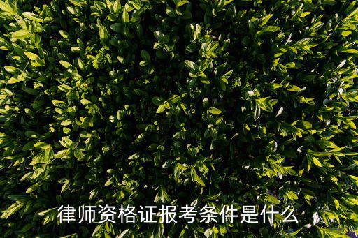 律師資格證報考條件是什么