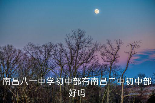 南昌八一中學初中部有南昌二中初中部好嗎