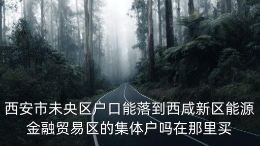 西咸新區能源金融貿易區，西安市未央區戶口能落到西咸新區能源金融貿易區的集體戶嗎在那里買
