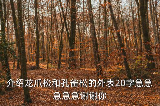 介紹龍爪松和孔雀松的外表20字急急急急急謝謝你