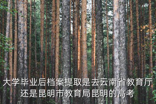 大學畢業后檔案提取是去云南省教育廳還是昆明市教育局昆明的高考
