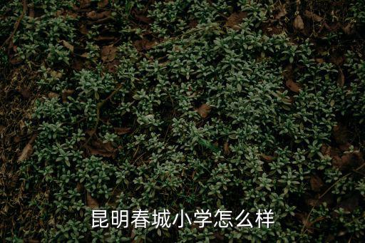 昆明春城，昆明為什么叫春城