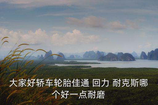 耐克深輪胎，大家好轎車輪胎佳通 回力 耐克斯哪個好一點耐磨
