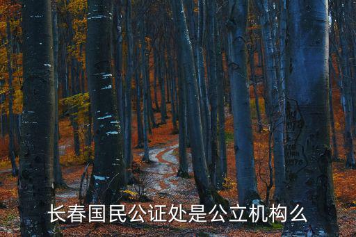 長(zhǎng)春國(guó)民公證處是公立機(jī)構(gòu)么