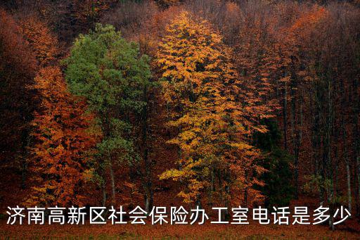 濟南高新區社會保險辦工室電話是多少