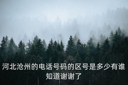 河北滄州的電話號碼的區(qū)號是多少有誰知道謝謝了