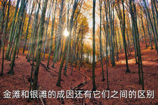 金灘和銀灘的成因還有它們之間的區別