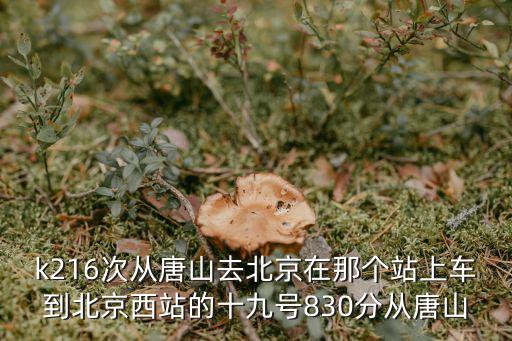 k216，k216次列車時刻表蛟河至沈陽火車票多少錢