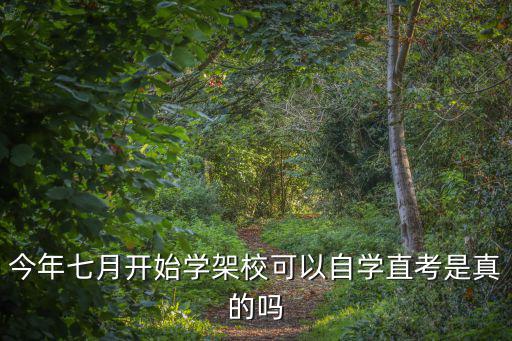 自學直考是什么意思，今年七月開始學架校可以自學直考是真的嗎