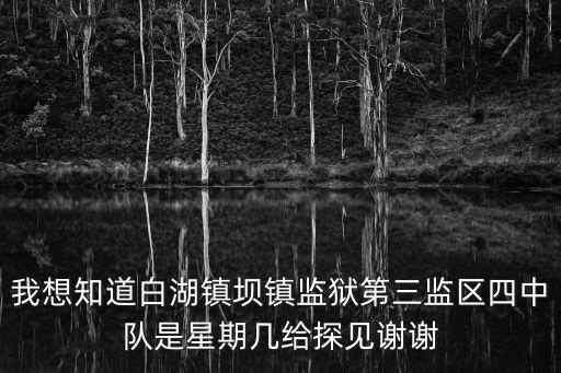我想知道白湖鎮壩鎮監獄第三監區四中隊是星期幾給探見謝謝