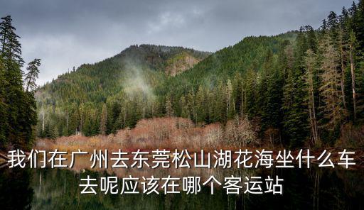 我們在廣州去東莞松山湖花海坐什么車去呢應該在哪個客運站