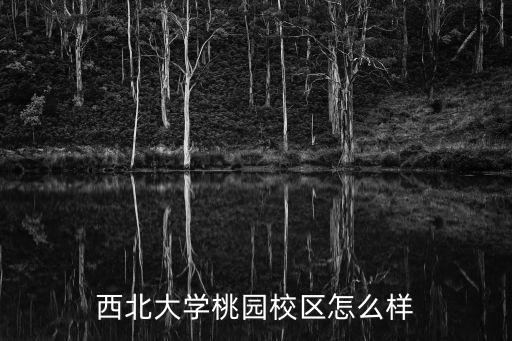 西北大學桃園校區怎么樣
