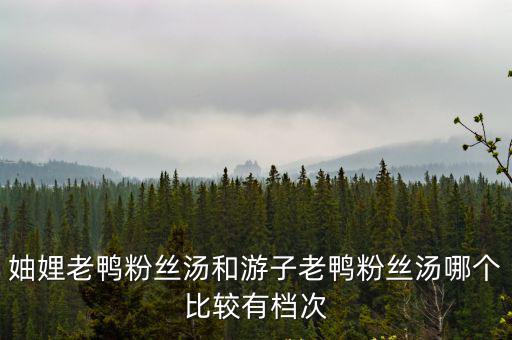 妯娌老鴨粉絲湯，妯娌老鴨粉絲湯和游子老鴨粉絲湯哪個比較有檔次