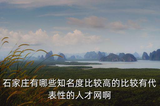 石家莊有哪些知名度比較高的比較有代表性的人才網(wǎng)啊