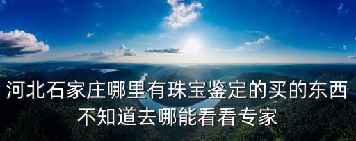 河北石家莊哪里有珠寶鑒定的買的東西不知道去哪能看看專家