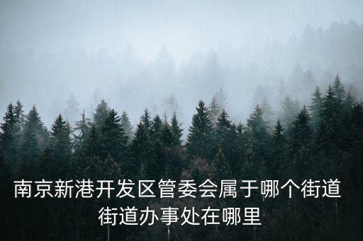 南京新港開發區管委會屬于哪個街道 街道辦事處在哪里