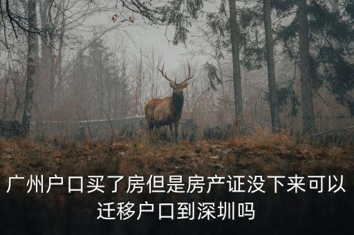 深圳房?jī)r(jià)網(wǎng)，深圳哪家地產(chǎn)公司好