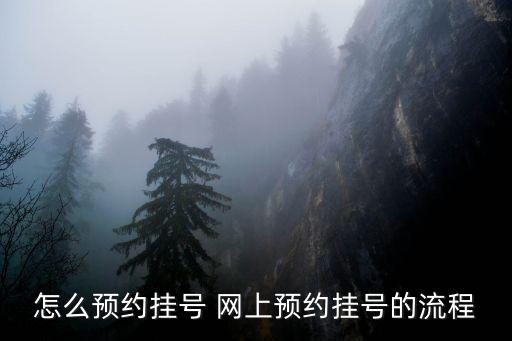 預約掛號，怎么預約掛號 網上預約掛號的流程