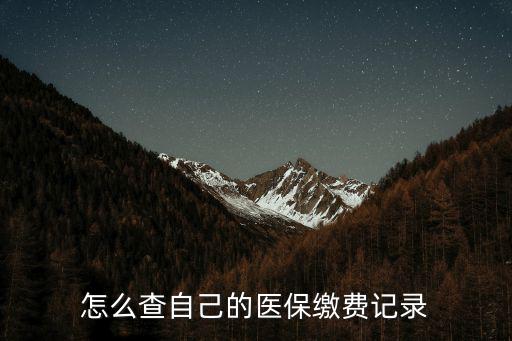 醫(yī)保查詢，怎么查自己的醫(yī)保繳費記錄