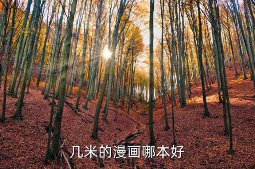 幾米的漫畫哪本好