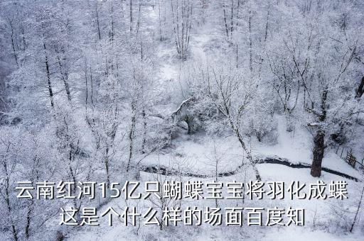 云南紅河15億只蝴蝶寶寶將羽化成蝶這是個什么樣的場面百度知