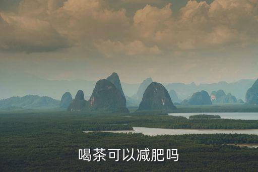喝茶可以減肥嗎