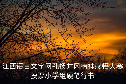 江西語言文字網，我是江西省宜春地區樟樹市的我想考普通話不知道在哪里可以報名