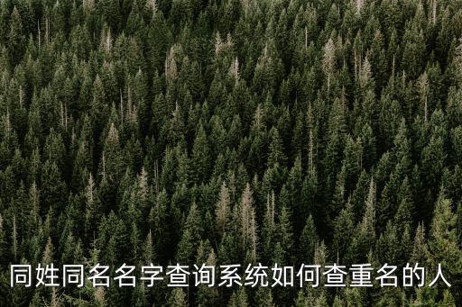 同姓同名名字查詢系統(tǒng)如何查重名的人
