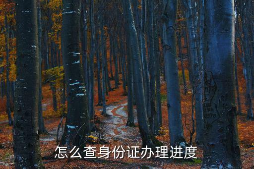 怎么查身份證辦理進度