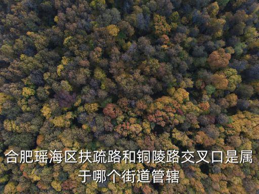 合肥瑤海區扶疏路和銅陵路交叉口是屬于哪個街道管轄