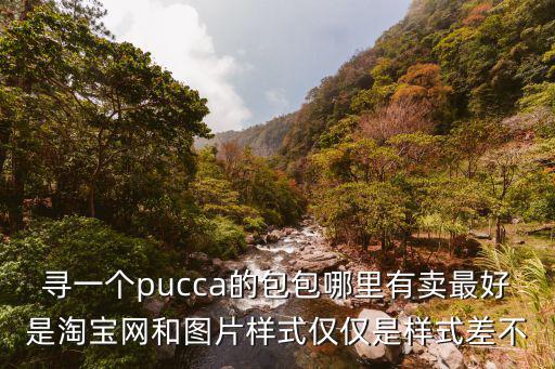 尋一個pucca的包包哪里有賣最好是淘寶網和圖片樣式僅僅是樣式差不
