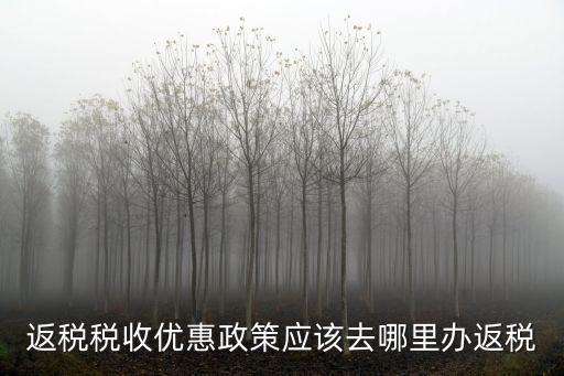 返稅，公司怎么返稅的