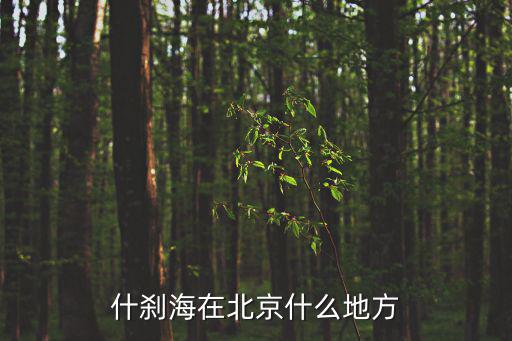 什剎海在北京什么地方