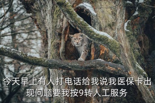 今天早上有人打電話給我說我醫保卡出現問題要我按9轉人工服務