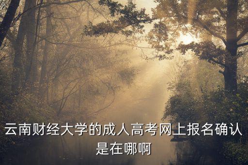 云南財經(jīng)大學(xué)的成人高考網(wǎng)上報名確認(rèn)是在哪啊