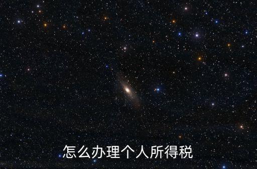 怎么辦理個(gè)人所得稅
