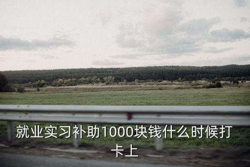 就業實習補助1000塊錢什么時候打卡上