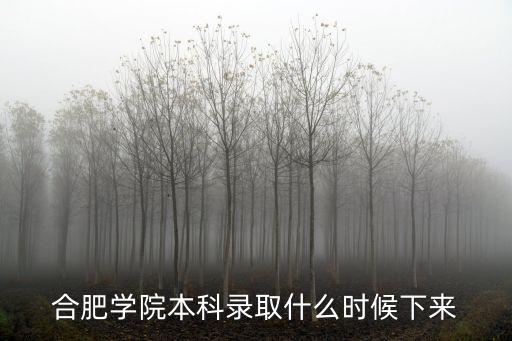 合肥學(xué)院本科錄取什么時(shí)候下來(lái)