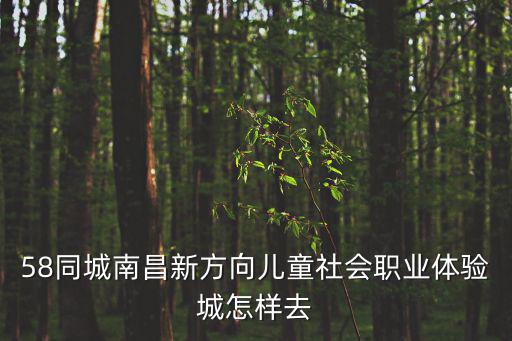 58同城南昌新方向兒童社會職業體驗城怎樣去