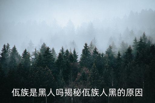 佤族人為什么很黑，佤族人為什么很黑很矮