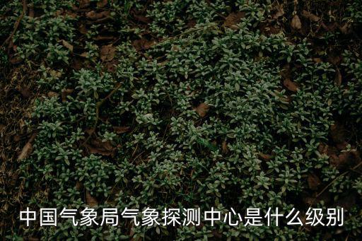 中國氣象局氣象探測中心是什么級別